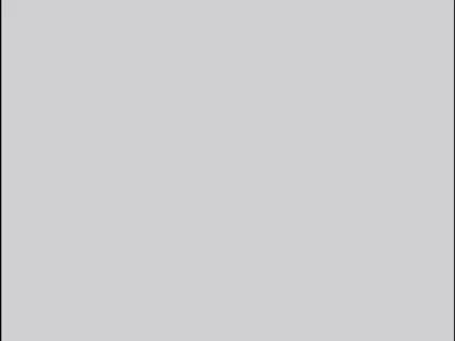 Finition 1167 LIGHT GREY(HUMO)