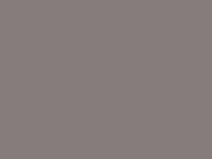 Finition 1168 ROCK GREY CAPPUCHINO
