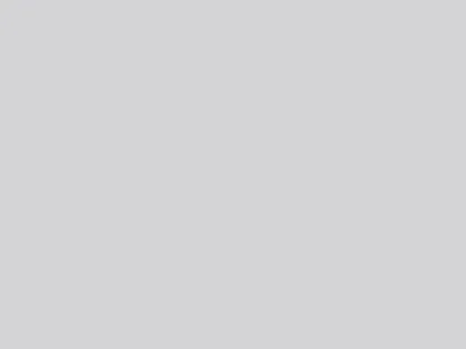 Finition 2277 S.MAT. Light Gray(humo)