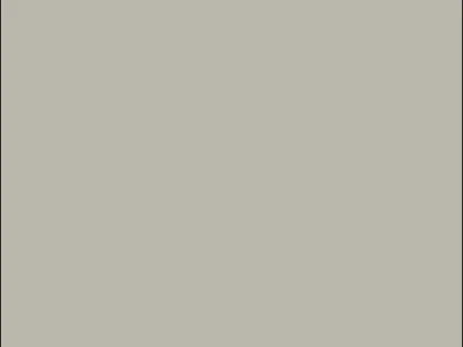 Finition 747 MAT New Grey